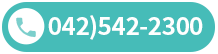 042-542-2300